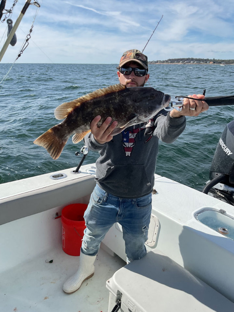 7 Lb Blackfin - Fishing Charters RI