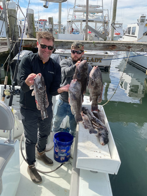 Blackfish -Tautog fishing Rhode Island aboard Captain SHeriff's Fishing Charters