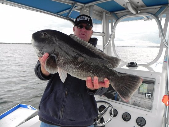 Tautog Fishing Rhode Island with Captain Sheriff