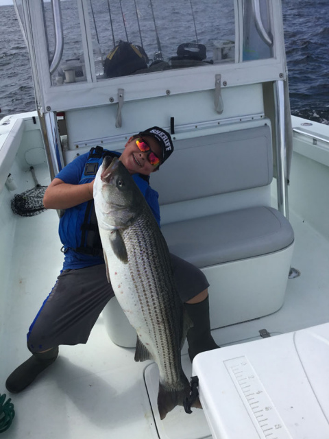 Galilee Striped Bass - Caught Fishing Charters RI